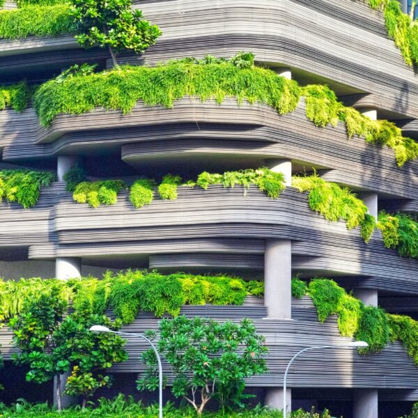 Green Architecture: the buildings that breathe like forests